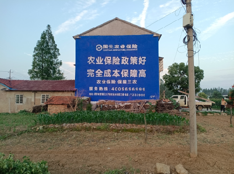 连云港墙体广告的优劣势你知道吗？