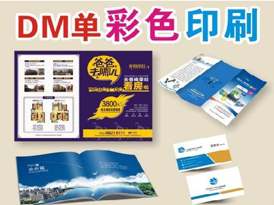 连云港单页印刷，色彩搭配简单。